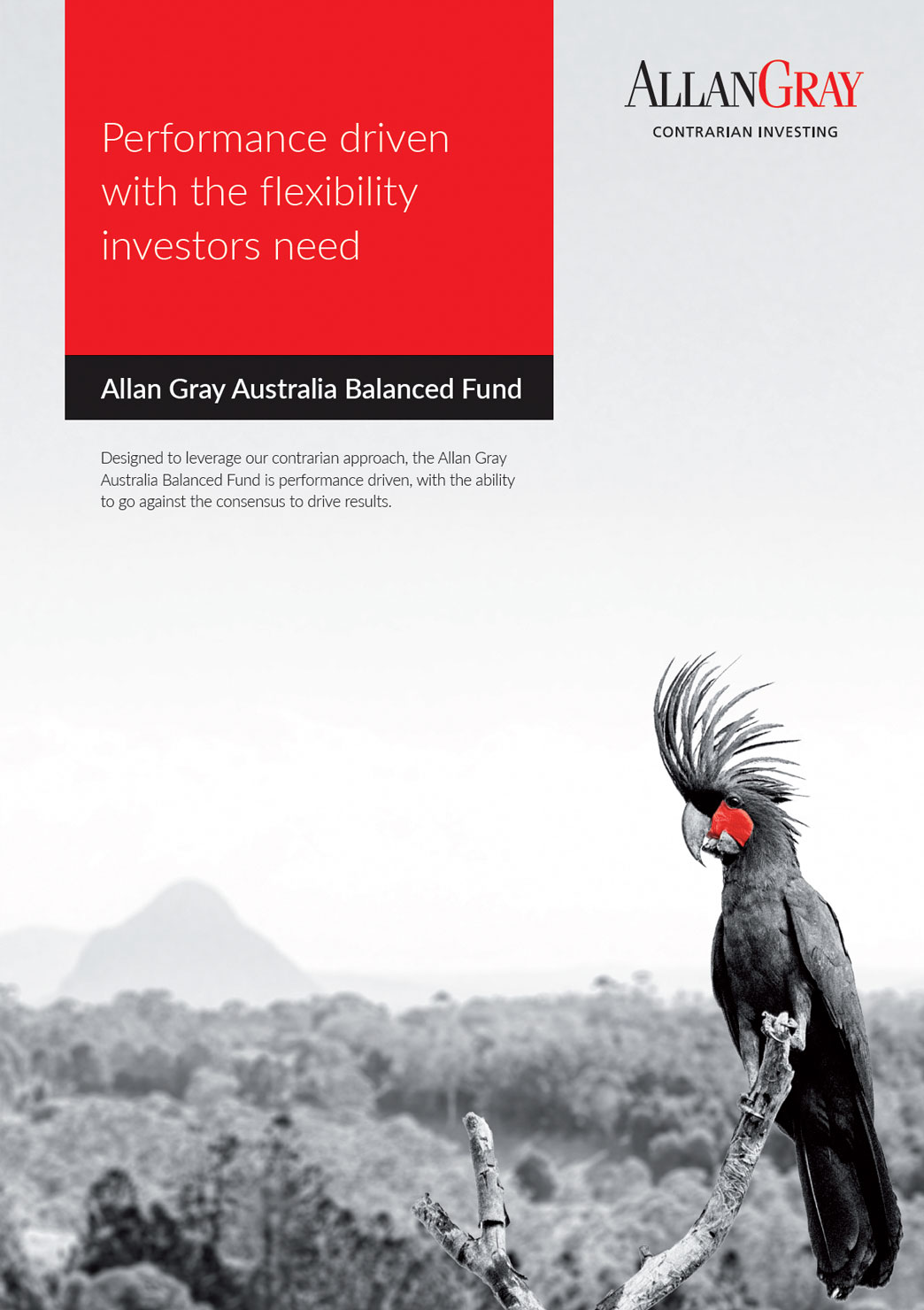 Allan Gray Balanced Fund Brochure