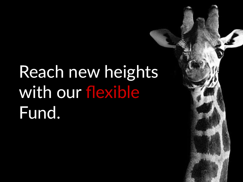 Reach new heights with our flexible Fund. Take a look at our Balanced Fund
